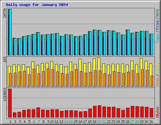 Daily usage for January 2024