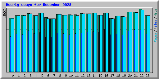 Hourly usage for December 2023