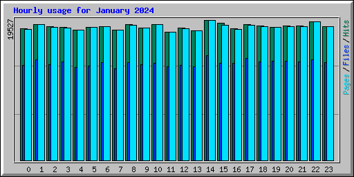 Hourly usage for January 2024