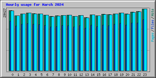 Hourly usage for March 2024