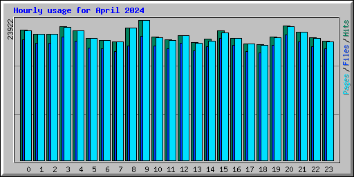 Hourly usage for April 2024