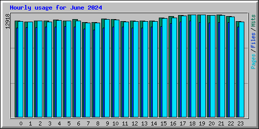 Hourly usage for June 2024