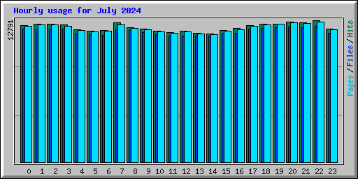 Hourly usage for July 2024