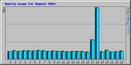 Hourly usage for August 2024